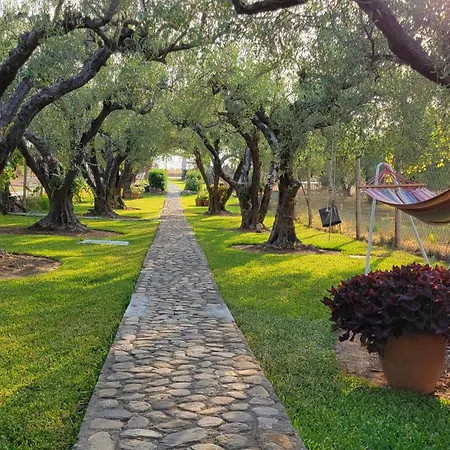 Apartament Potidaia House