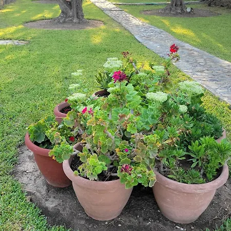 Potidaia House شقة *